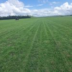 WhatsApp Image 2025-01-30 at 13.25.47 (1)