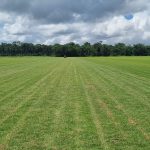 WhatsApp Image 2025-01-30 at 13.25.47