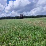 WhatsApp Image 2025-01-30 at 13.25.48