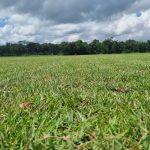 WhatsApp Image 2025-01-30 at 13.25.48 (2)