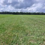 WhatsApp Image 2025-01-30 at 13.25.49