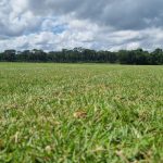 WhatsApp Image 2025-01-30 at 13.25.50 (1)