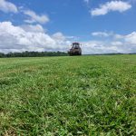 WhatsApp Image 2025-01-30 at 13.25.51 (1)