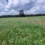 WhatsApp Image 2025-01-30 at 13.25.51