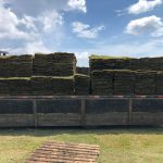 WhatsApp Image 2025-01-30 at 13.36.43 (1)