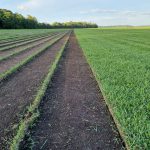 WhatsApp Image 2025-01-30 at 14.09.16 (1)