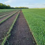 WhatsApp Image 2025-01-30 at 14.09.16