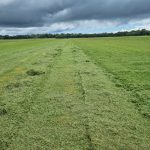 WhatsApp Image 2025-01-30 at 14.09.17 (1)