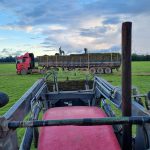 WhatsApp Image 2025-01-30 at 14.09.17